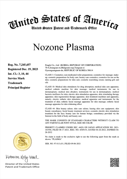 MSOT2021-1142US (�̱�)