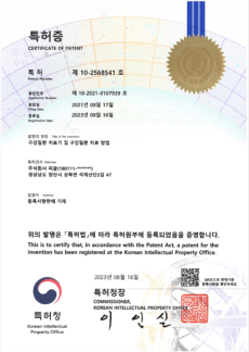 Ư�� �� 10-2568541 ȣ