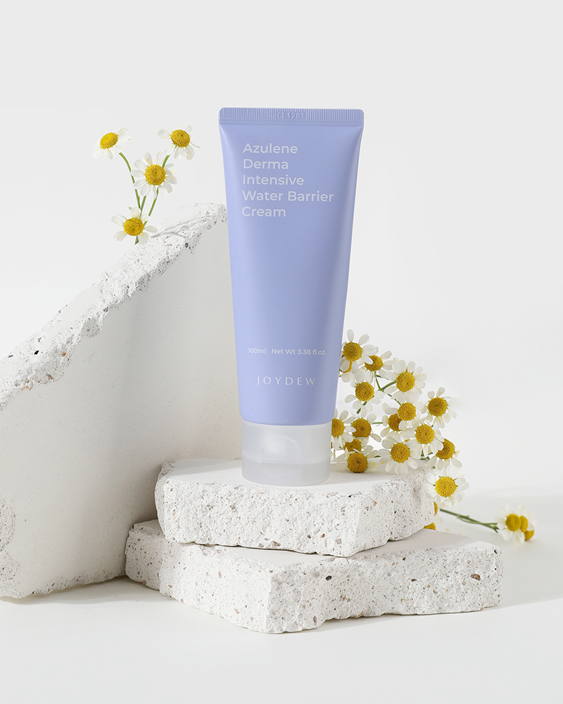 ���̵���ٷ�ũ��