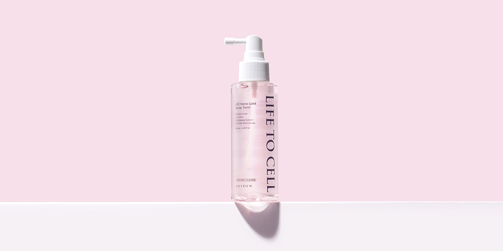 ������ ��Į�� ���